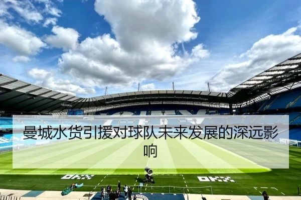 曼城水货引援对球队未来发展的深远影响